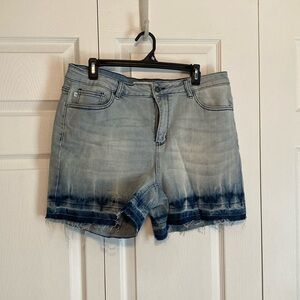 Judy Blue Denim Shorts Size 1X